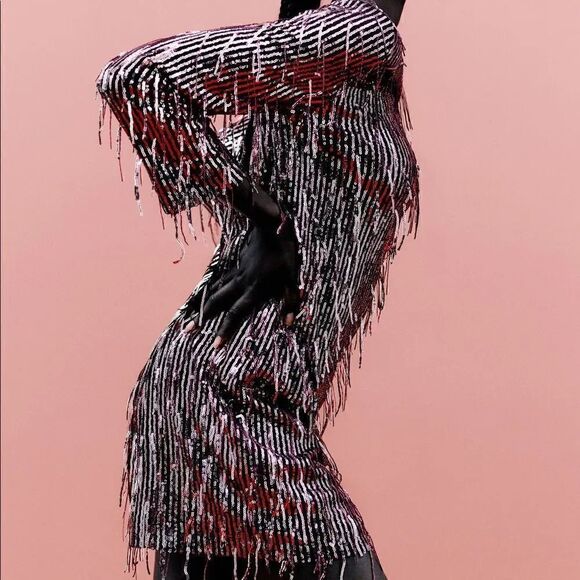 ZARA FRINGED SEQUIN DRESS - Picture 8 of 14